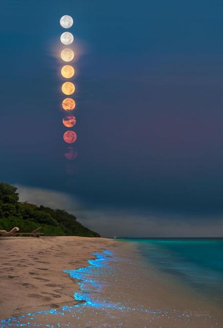 Several images of a full moon setting are superposed. The moon images are nearly white near the top, but turn orange and then are covered by low clouds near the horizon. Unusually, the setting moon images line up almost vertically. In the foreground is a beach with waves illuminated by blue-glowing plankton.