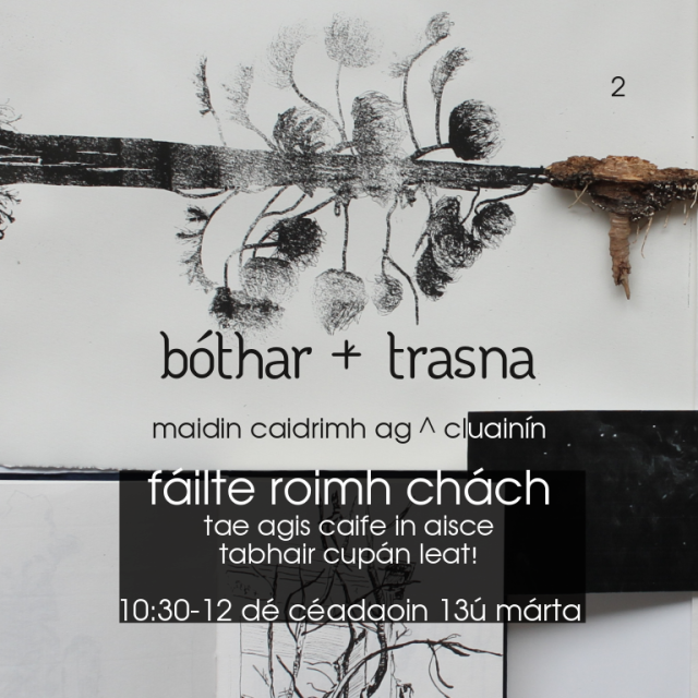 The same poster, written in the Irish language.