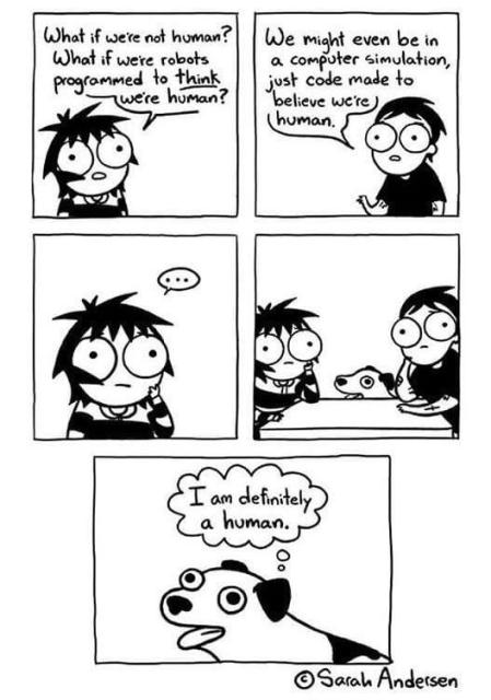 “What if we’re not human? What if we’re robots programmed to think we’re human?” 

“We might even be in a computer simulation, just code made to believe we're human.”

“I am definitely a human.” © Sarah Andersen