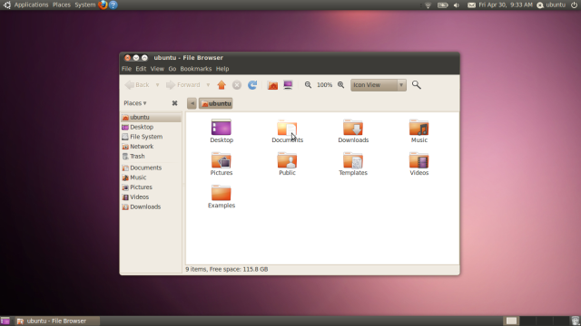 Ubuntu 10.04 screenshot