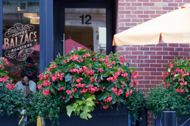 The flower arrangement on the border of a coffeeshop patio with a yellow umbrella. 