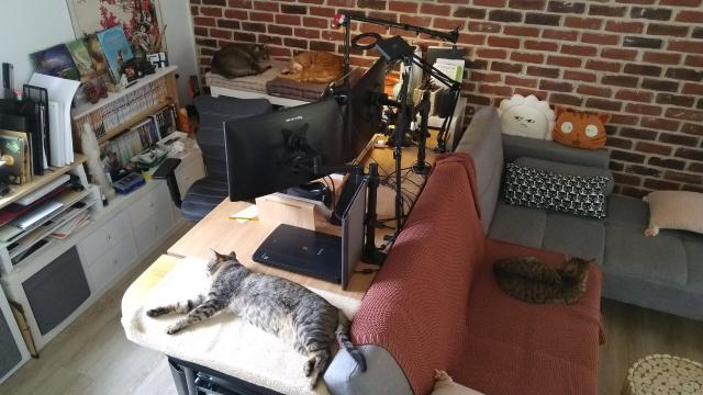A photo, a bit top down, of my desk with four cats sleeping around it. Visible: mangas, a dual screen monitor, a sofa, scanner.