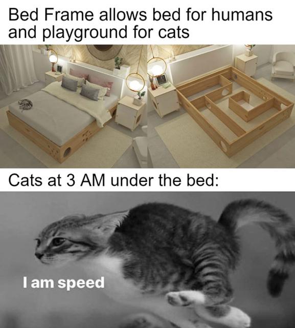Under bed cat play area