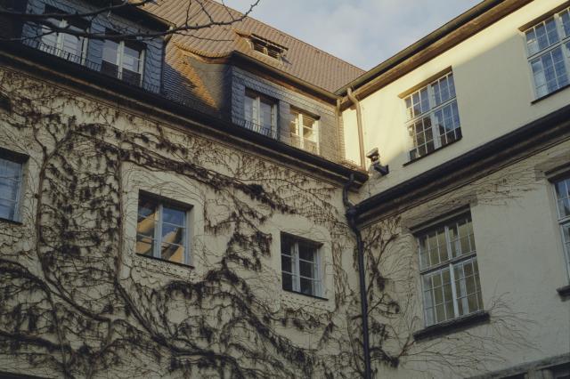A beige building with a red tile roof, walls covered in dried up grape vines.