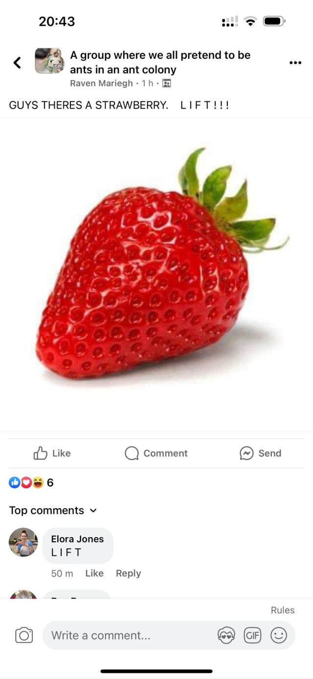 Facebook group post with photo of a strawberry. Poster says “guys there’s a strawberry. Lift!!!”