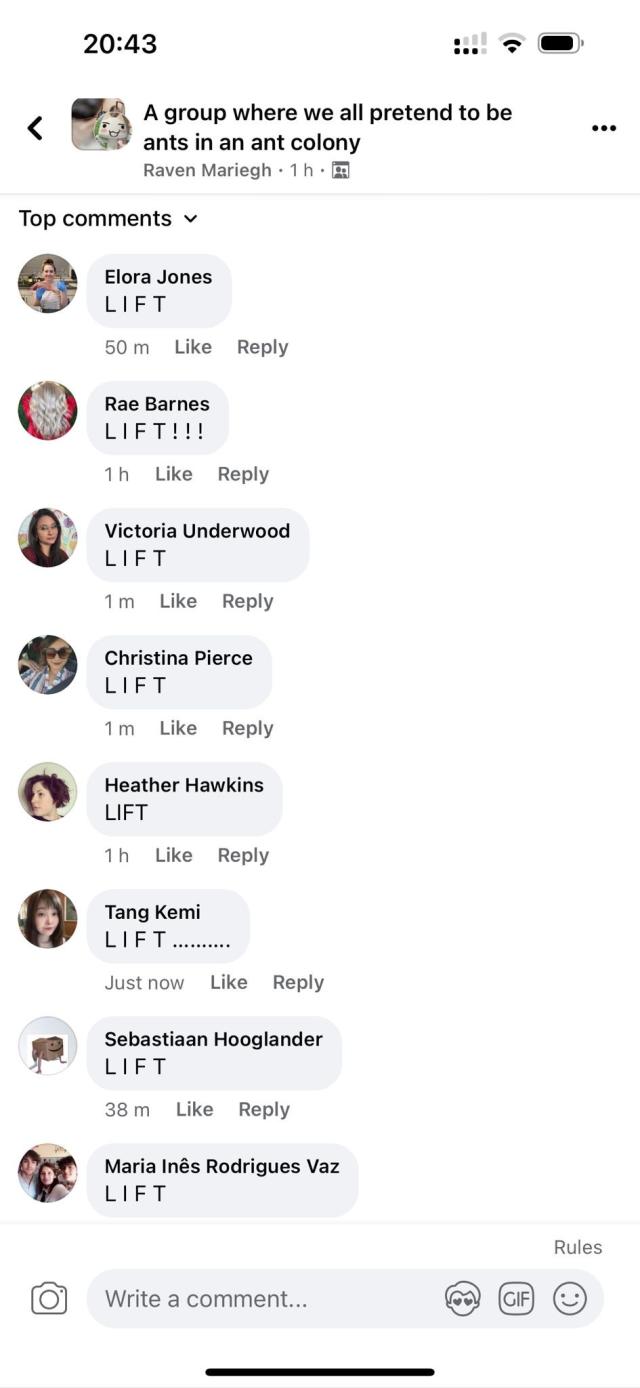 Many members of the group all agree “lift !!!“