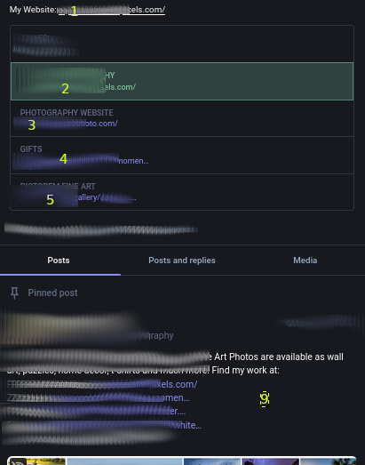 This one is worse! See screenshot of profile with 9 total links just in profile. Then each post may have 1-3 links ... thoughts?