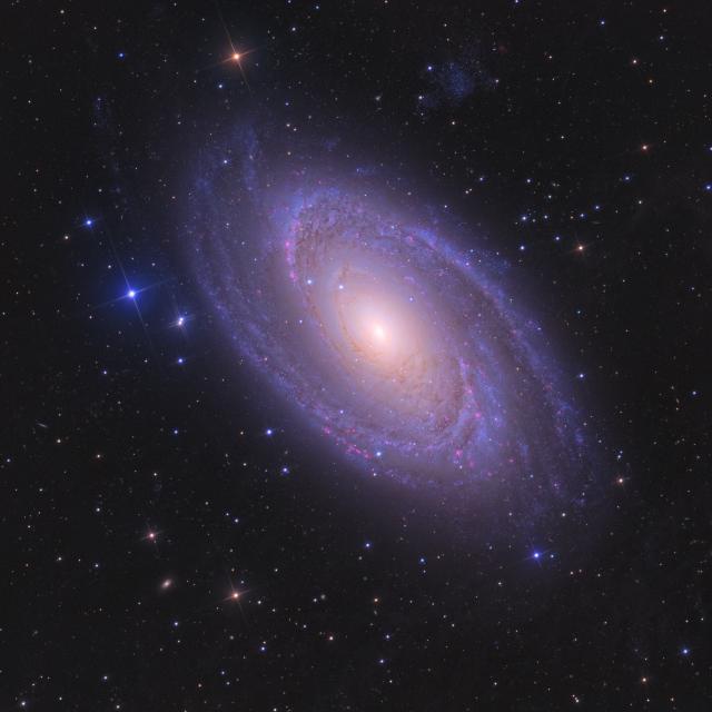 M81.

Ken Crawford, CC BY-SA 4.0, via Wikimedia Commons.