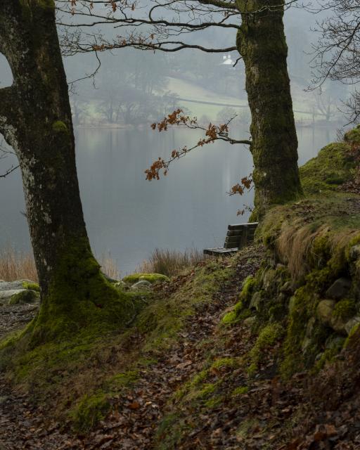 A picture of a lakeside bench on a wet morning. A path leads towards the bench covered in fallen leaves. To the side of the path is a moss covered dry stone wall which obscures part of the bench from view. Behind the bench the lake is calm apart from raindrops, visible on the water. To either side of the bench are trees. 