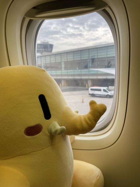 A stuffed Mastodon toy sitting next to an airplane window. 