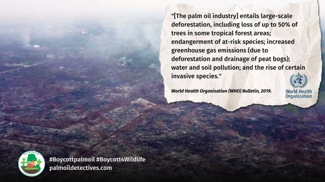 Everybody in the world deserves to breath in #cleanair. #Palmoil air #pollution is a global problem. Domestic and international laws could combat it together and provide solutions. #TheAirWeShare Story via 
@360info_global
 #Boycottpalmoil 
@palmoildetect https://palmoildetectives.com/2024/03/03/air-pollution-from-palm-oil-deforestation-is-a-human-rights-issue-affecting-everyone-in-s-e-asia/