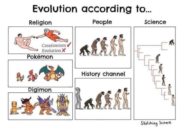A funny comic showing “Evolution” according to... Religion
People 
Science Creationism Evolution Pokémon 
History channel Digimon

by Sketching Science