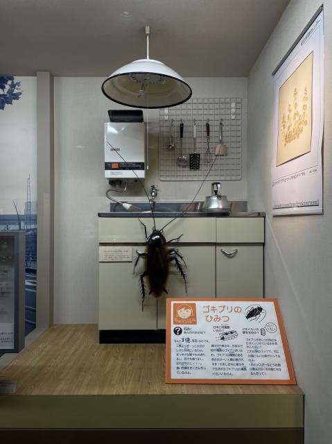 Diorama of a kitchen with a gigantic cockroach. It has the size of a small child and is crawling up to the kitchen sink. 