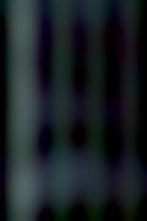 A sequence of eight images of Comet Pons-Brooks, from top to bottom, showing the comet and its changing tail over 9 days. The ion tail looks very different in each of the images, sometimes being much more complex than other times.