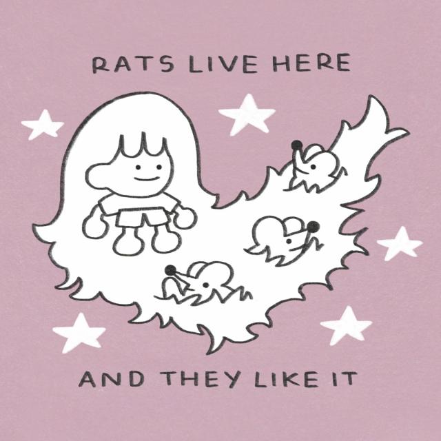 A girl's extremely long hair is full of rats. Text reads: "rats live here and they like it".