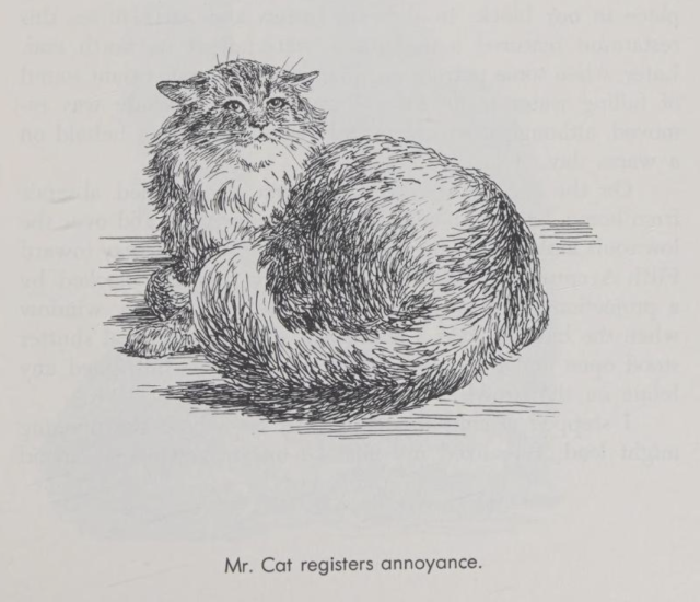 A black line illustration of a longhaired cat, lying curled up but looking at the viewer with ears flattened back. Text at the bottom reads "Mr. cat registers annoyance".