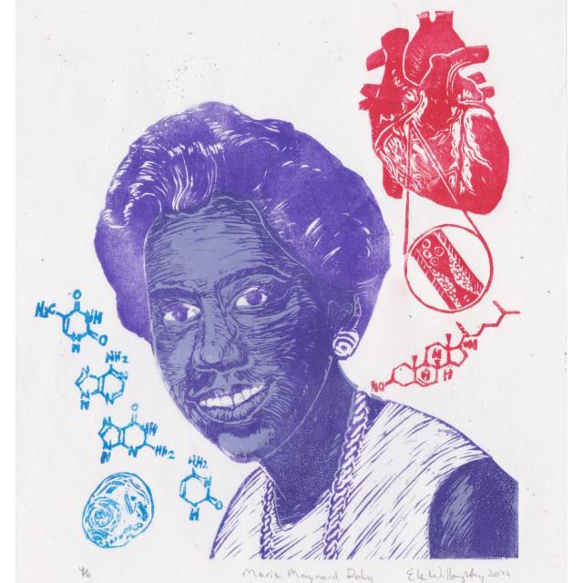 My linocut portrait of Marie Maynard Daly in purples (she’s a young m, smiling Black woman, wearing earrings, a necklace and a dress, looking at the viewer over her shoulder). Above her to the right is an anatomical heart with a blowout diagram in a circle of a clogged artery and the cholesterol molecule all in red. Next to her on the left in blue are the molecules of the bases which make up DNA and a diagram of a human cell.