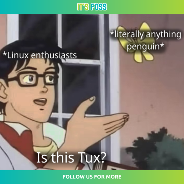 There is a person called “Linux enthusiasts” who asks “Is this Tux?” pointing to a butterfly that has this written over it: “*literally anything penguin*”.