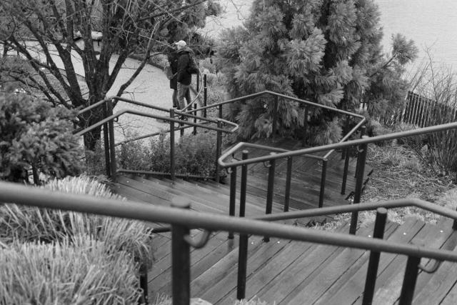 A staircase with metal railings descending in zig-zag fashion among trees and grass.