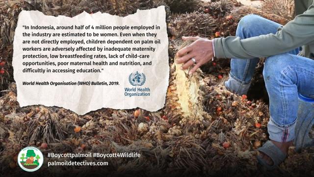 Today is #EarthDay but not everybody gets to enjoy the earth equally. @WHO Bulletin: "In Indonesia, an est. 4 million women work in the #palmoil industry. Children dependent on workers are impacted by lack of child-care, poor maternal #health, poor #nutrition, difficulty in accessing education." #Boycottpalmoil 
@palmoildetect
 https://palmoildetectives.com/2022/08/08/palm-oil-industry-lobbying-and-greenwashing-is-like-big-tobacco-world-health-organisation-who-bulletin/