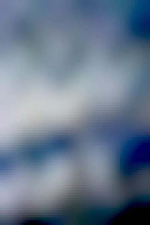 Two airplane contrails, crossing in an X, are shown across the middle of the image. They are bright white against a dark blue background. A high cloud deck is seen above the crossing, sunlit, contrails. A low Sun creates a dark shadow X on the high while clouds. A row of buildings runs across the lower part of the image.