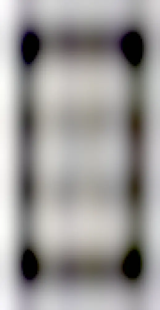 A second ink drawing, the same lichen but this time with dark borders on either side and crack-like features. Text this time reads 'a pioneer prothallus binding i'