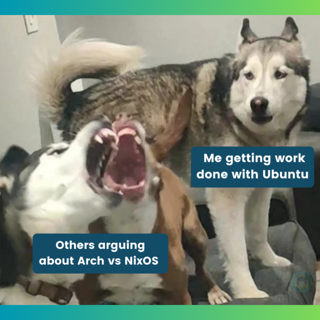 There are two dogs fighting, it says, “Others arguing about Arch vs. NixOS”.

Then there's another dog looking them fight, it says, “Me getting work done with Ubuntu”.