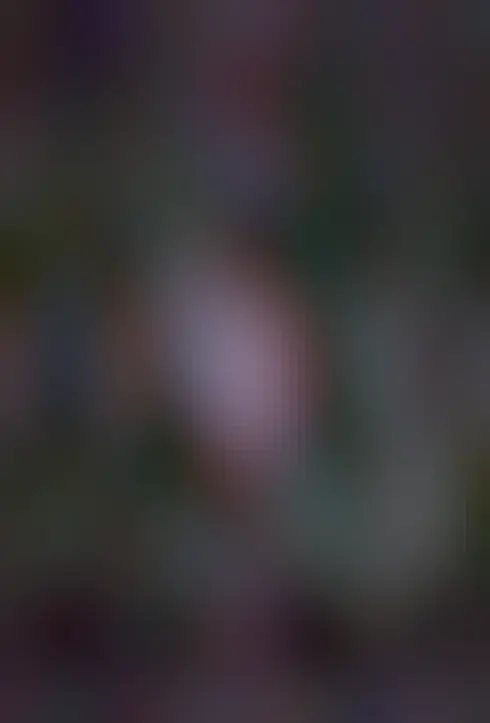 A faint nebula runs vertically in the image. In the center is a red envelope surrounding diffuse blue emission. In the center is a bright multicolored nebula that is nearly circular.