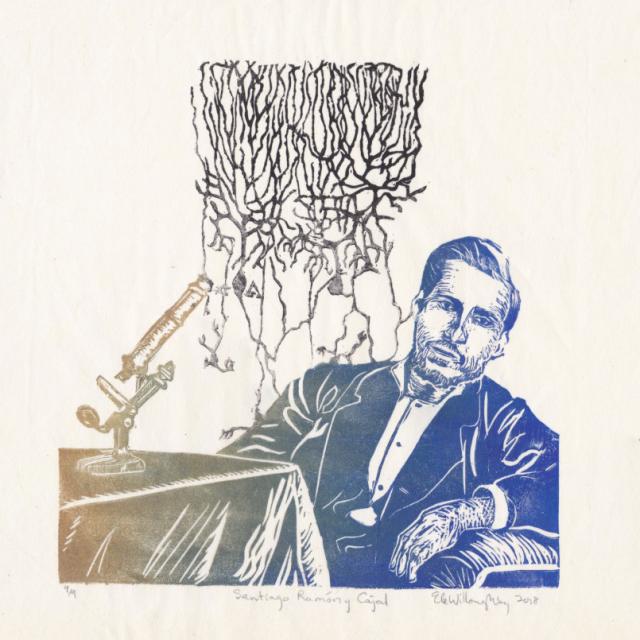 My linocut portrait of Cajal in a gradient of gold (left, where there is a table and microscope) to blue (right, where he is) . Behind him is an image based on his drawing of a Purkinje and granule cell of a pigeon in a gradient of gold to black.