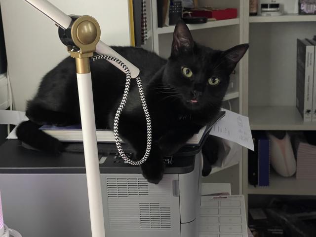 A black cat (Jiji) lying on top of a Brother laser printer with his little tongue out. 