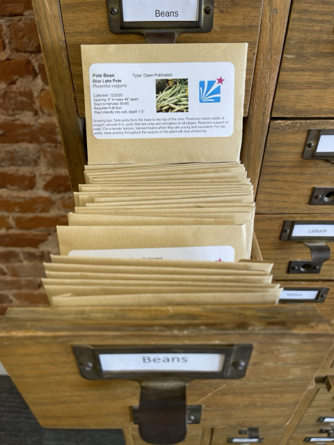 A closeup of one of the card catalog drawers entitled "beans" with a seed packet with information. 