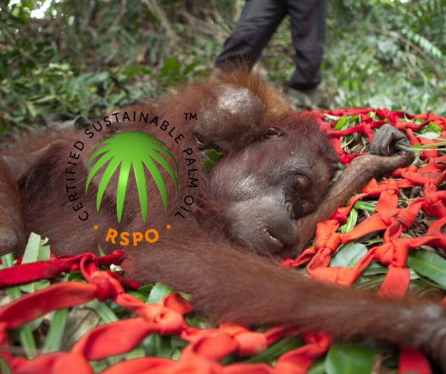 #News: @Greenpeace, Ecologists in Action, and OCU file complaints against #hrc_motogp@mastodon.social for #greenwashing #biofuels. Allegations state Repsol conceals environmental and social impacts of #palmoil use, misleadingly labelling of fuels as “sustainable” or “eco-friendly.” Legal actions seek sanctions, ad removal, and public rectification #Boycottpalmoil https://born2invest.com/articles/repsol-environmentalists-greenwashing/
