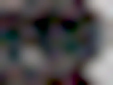 A close up of a black Toy Poodle puppy. This is a photo of Kiwi, wearing her pink collar, at about 10 weeks old, when we brought her home. She was funny, happy, mischievous pup. We miss you, kid. 