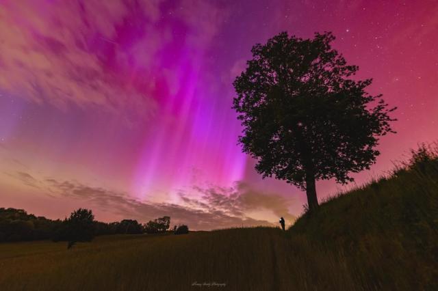Red and purple aurora appear over a field in Poland. A tree is seen to the right, and a person stands in the distance holding a glowing phone.