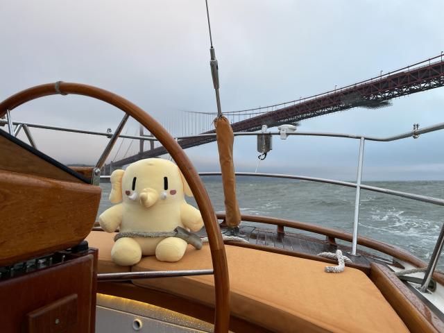 Mastodon stuffed toy sitting in front of the steering wheel of a sailboat, with the Golden Gate Bridge in the background. He’s secured with a rope around his waist. 