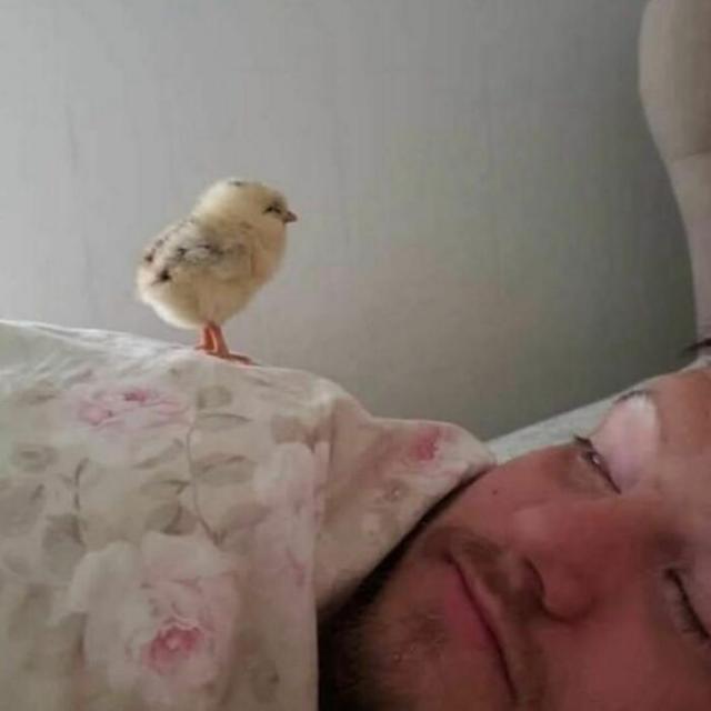 guy with chick