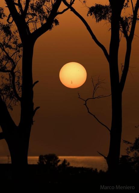 A distant Sun is seen over water and between foreground trees. On the lower part of the Sun is the gigantic active region AR 3664 visible by its dark sunspots.