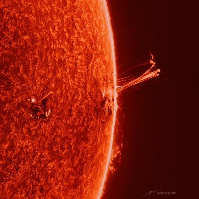 Part of the Sun is pictured, oriented as the right edge. The surface is textured like a carpet. Over the edge a long multi-pronged prominence stands out. Behind the Sun is the darkness of space.