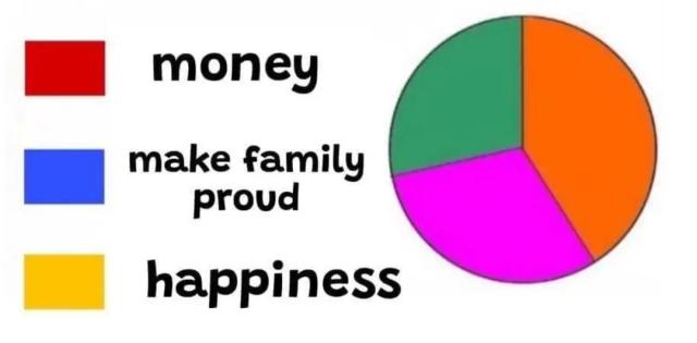 A pie chart, with labels red for money, blue for making your family proud, and yellow for happiness.

The three segments in the pie chart are green, pink, and orange.
