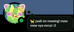 discord profile:
a pfp with lineko being bit on an ear, cat ears avatar decoration on top,
a thought(?) bubble saying "🐈yeah im mewing! mew mew nya mrrp! :3"