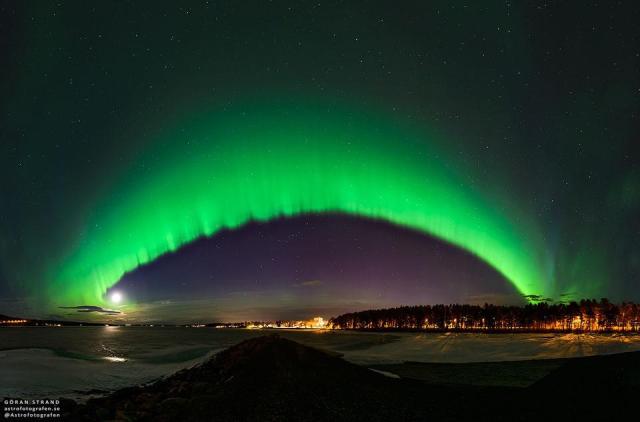  A big green arc is seen arching across the night sky. The arc fades away above into a green haze, while no green glow is seen below the arc. A dark sky filled with stars and constellations fills the background. Snow and distant trees line the foreground.