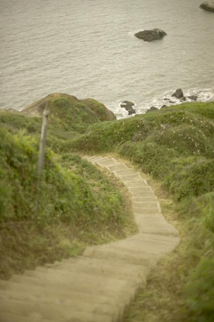 Concrete stairs leading down a steep green mountainside towards the sea. 