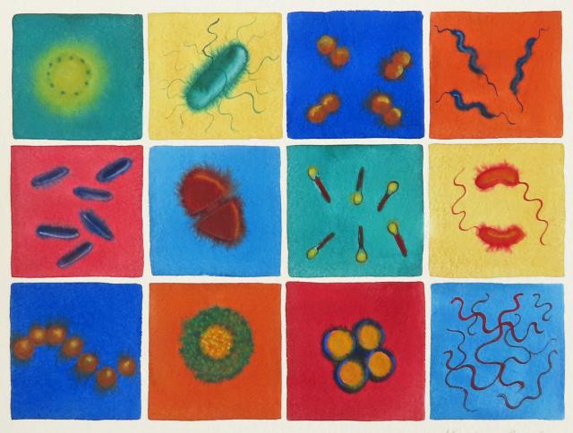 grid of bacteria images in bright watercolors 