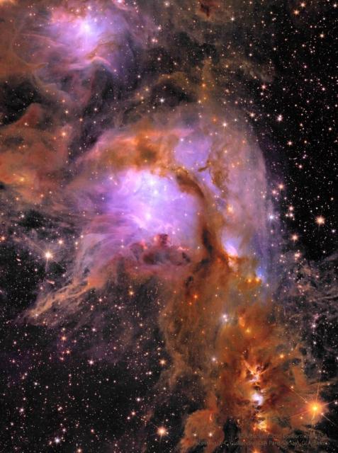 A star field filled with complex dark dust and bright purple nebulas is shown.