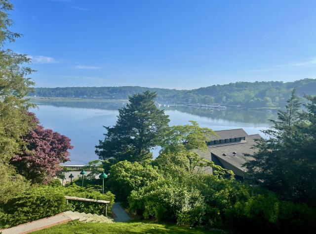 tree-lined steps from a lawn lead down to a calm blue-green body of water with boats near the far shoreline.