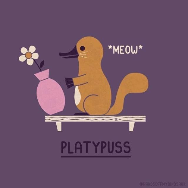 platypuss