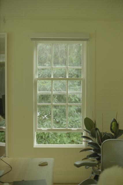 A tall paned window, slightly opened. Behind it, green foliage.