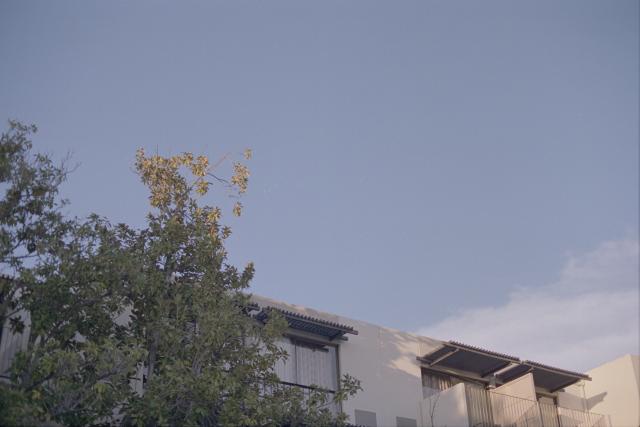 A beige building with windows and balconies, a tree, and a pastel blue sky. Evening sunlight is illuminating the top of the tree. The shadow of the tree falls on the building, leaving only a corner exposed to sunlight. It seems to align almost perfectly with a cloud emerging behind the building.