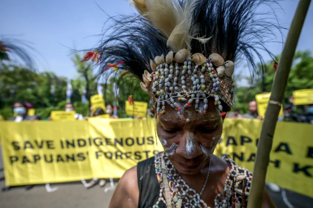 #News: Indigenous 
Awyu and Moi peoples of #Papua want to stop #palmoil plantations across their ancestral lands for the benefit of their community and future generations #Boycottpalmoil via @aljazeerarss@newsmast.social https://www.aljazeera.com/gallery/2024/5/28/papuans-head-to-indonesian-court-to-protect-forests-from-palm-oil #WestPapua #PapuaNewGuinea #PapuanLivesMatter @westpapuawomensoffice@mastodon.social 