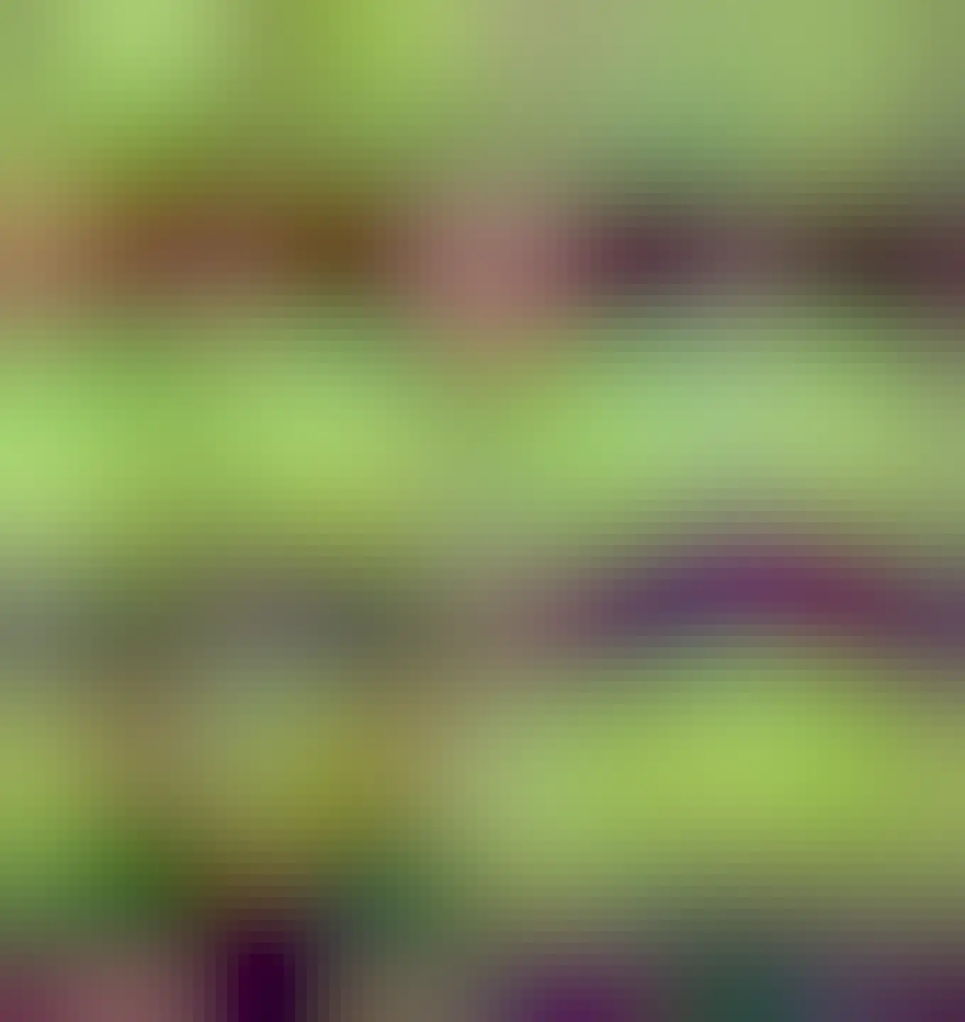 beets, aragula, letuce and more